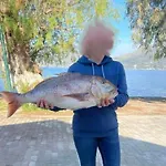 Ktima Alexandros Villa *