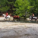 Villa Ktima Alexandros *