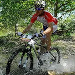 Ktima Alexandros Potos