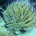 Ktima Alexandros Potos