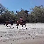 Villa Ktima Alexandros *