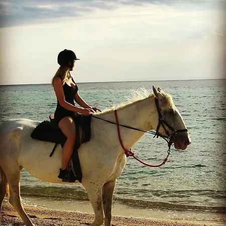Ktima Alexandros