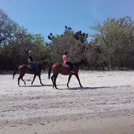 Villa Ktima Alexandros *