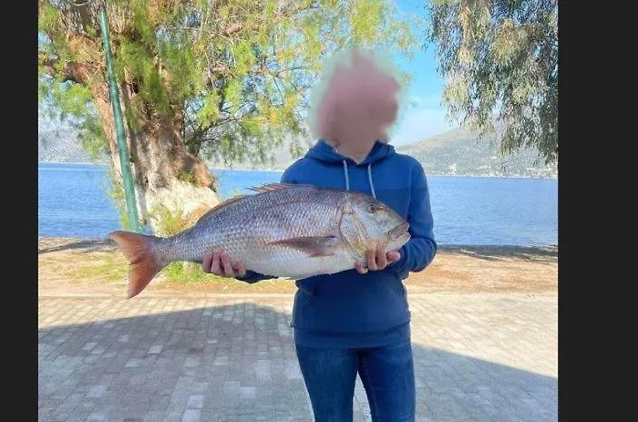 Ktima Alexandros Villa *