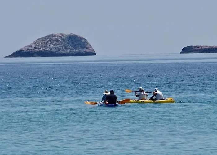 Ktima Alexandros Potos