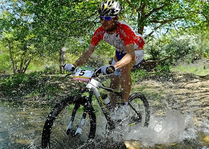 Ktima Alexandros Potos