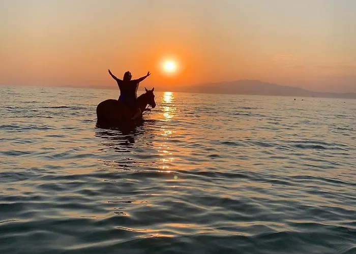 Villa Ktima Alexandros *