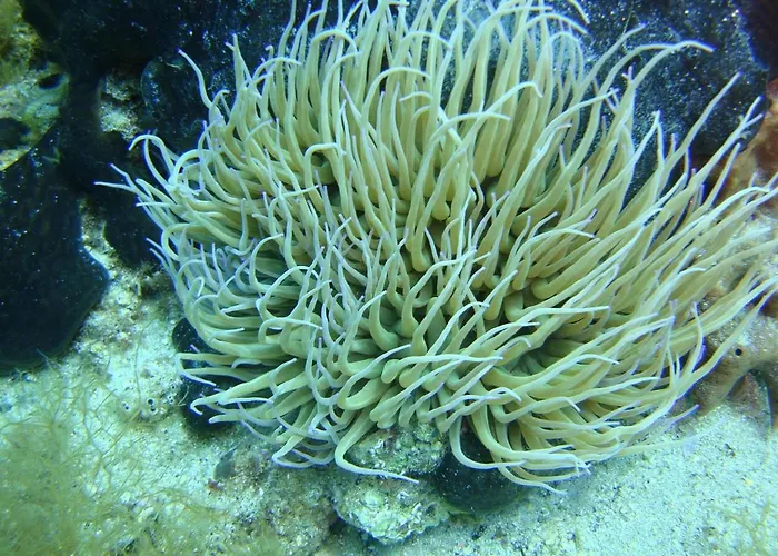 Ktima Alexandros Potos