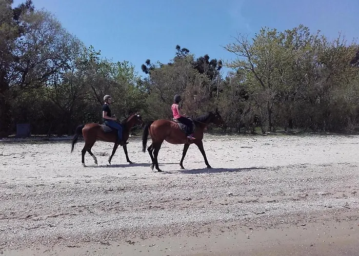 Villa Ktima Alexandros *