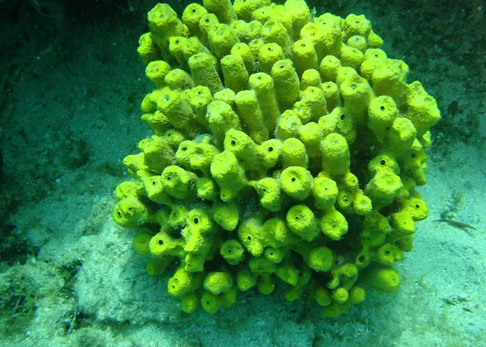 Ktima Alexandros Villa Potos